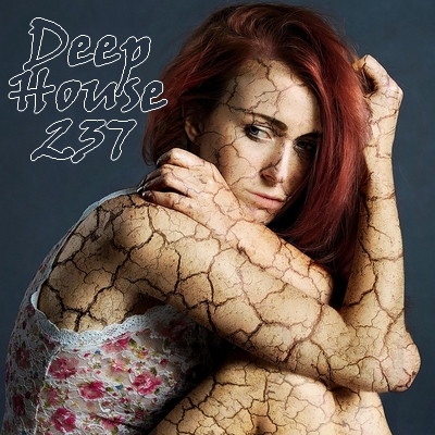 Deep house 237