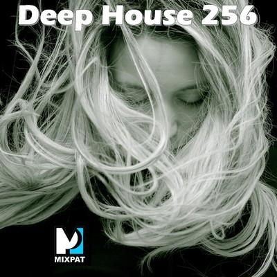 Deep house 256