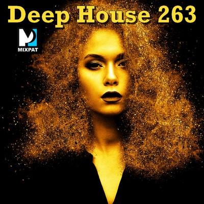 Deep house 263