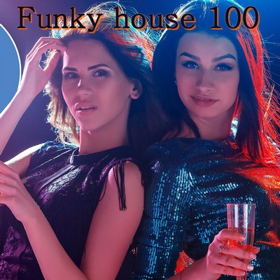 Funky house 101