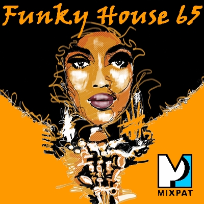 Funky house 66