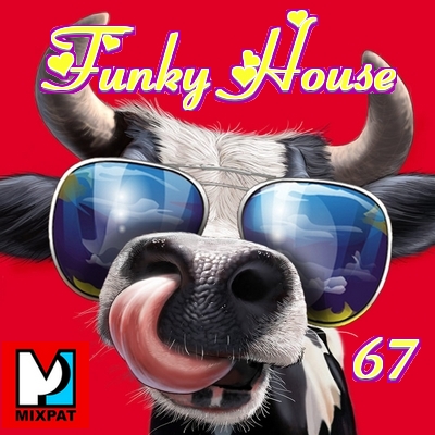 Funky house 68