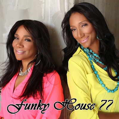 Funky house 78