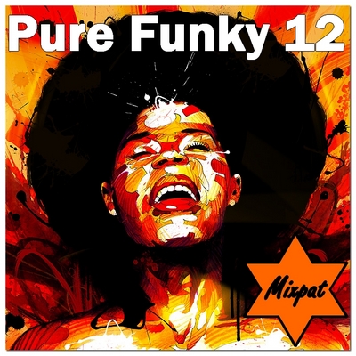 Pure funky 12