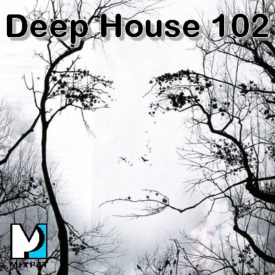 Deep house 103