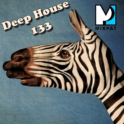 Deep house 133