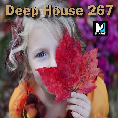 Deep house 267
